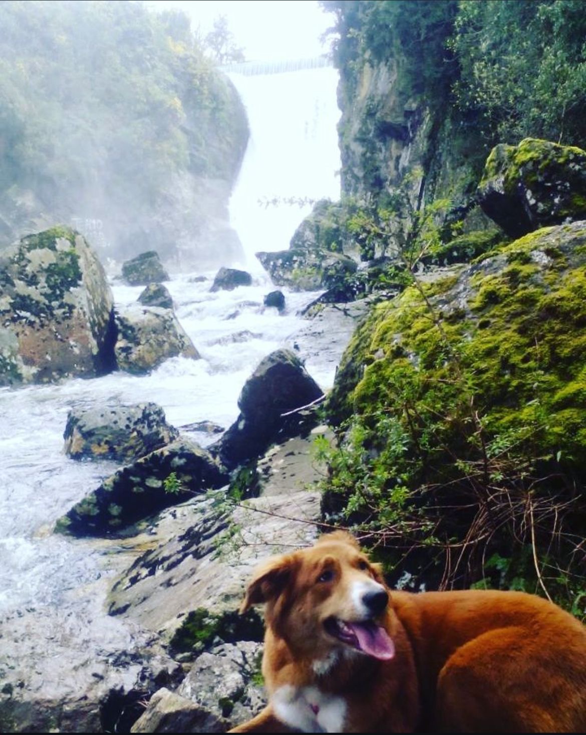 Max en una cascada rodeada de naturaleza
